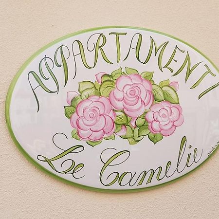 Le Camelie -Appartamenti Nuovi Porto SantʼElpidio エクステリア 写真
